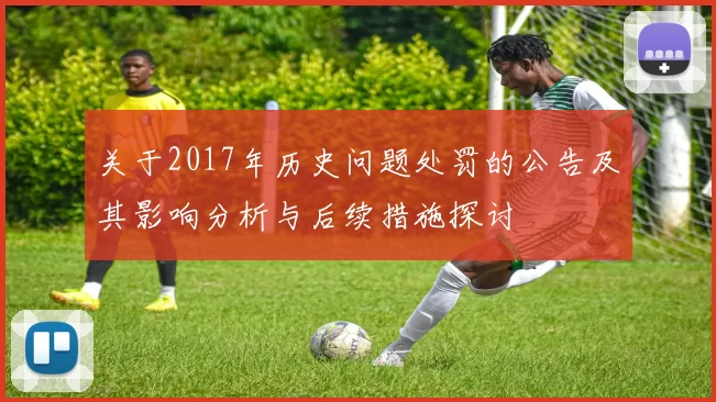 关于2017年历史问题处罚的公告及其影响分析与后续措施探讨