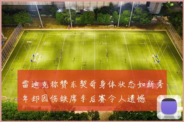 雷迪克称赞东契奇身体状态如新秀年却因伤缺席季后赛令人遗憾